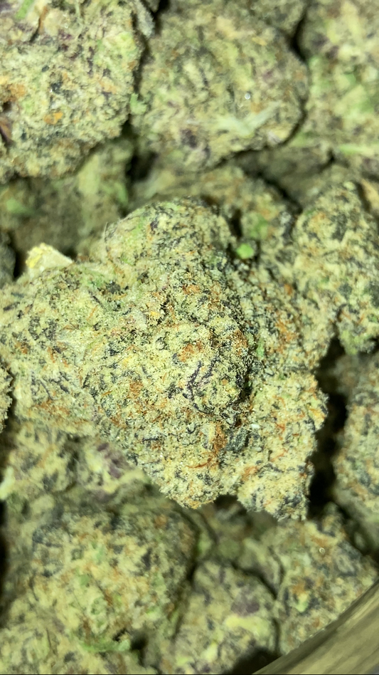 GHOST OG x RUNTZ