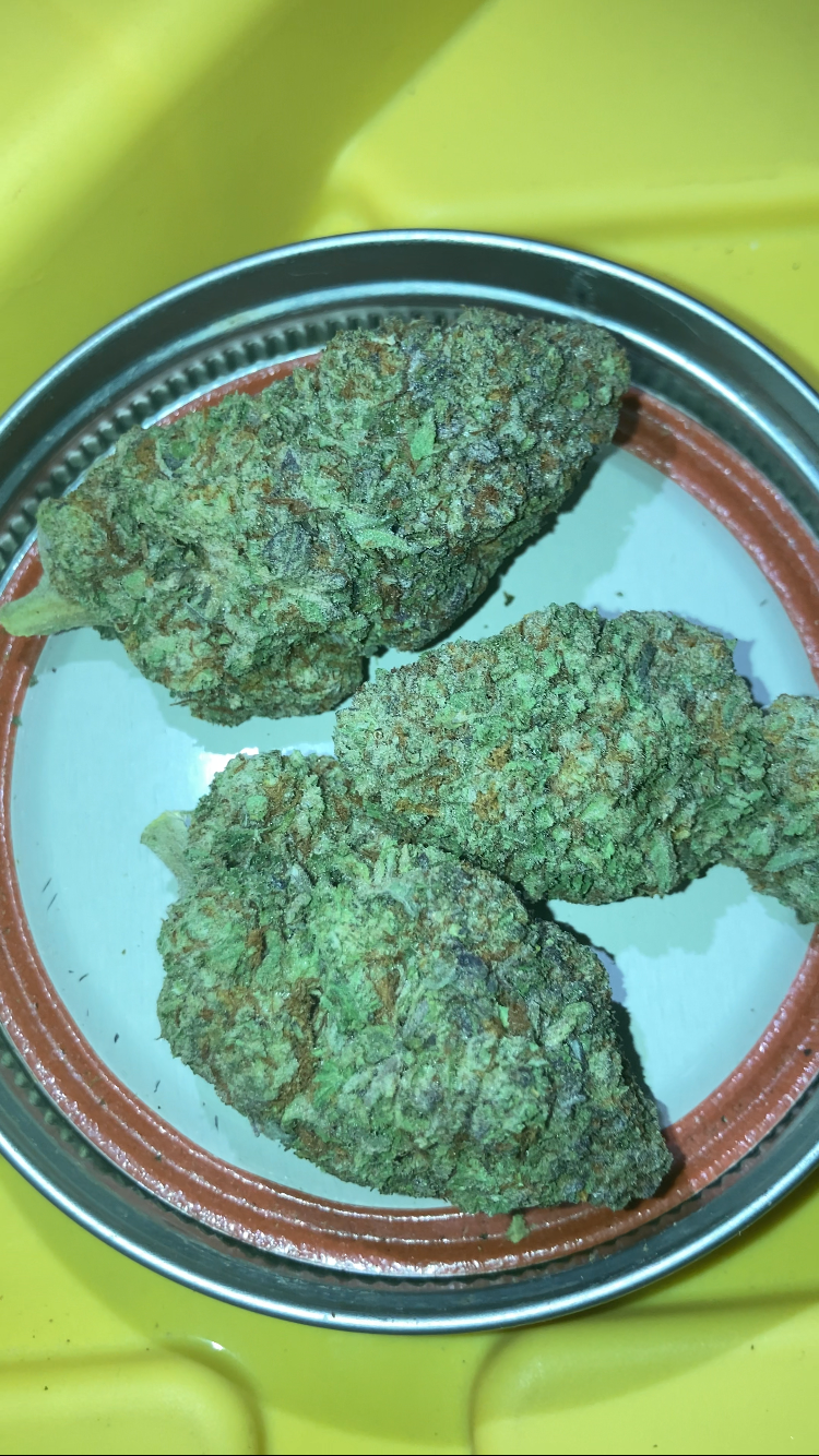 VANILLA DULCE