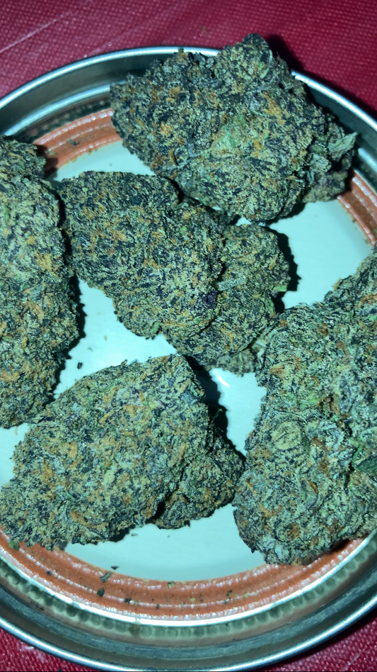 Berner Blast