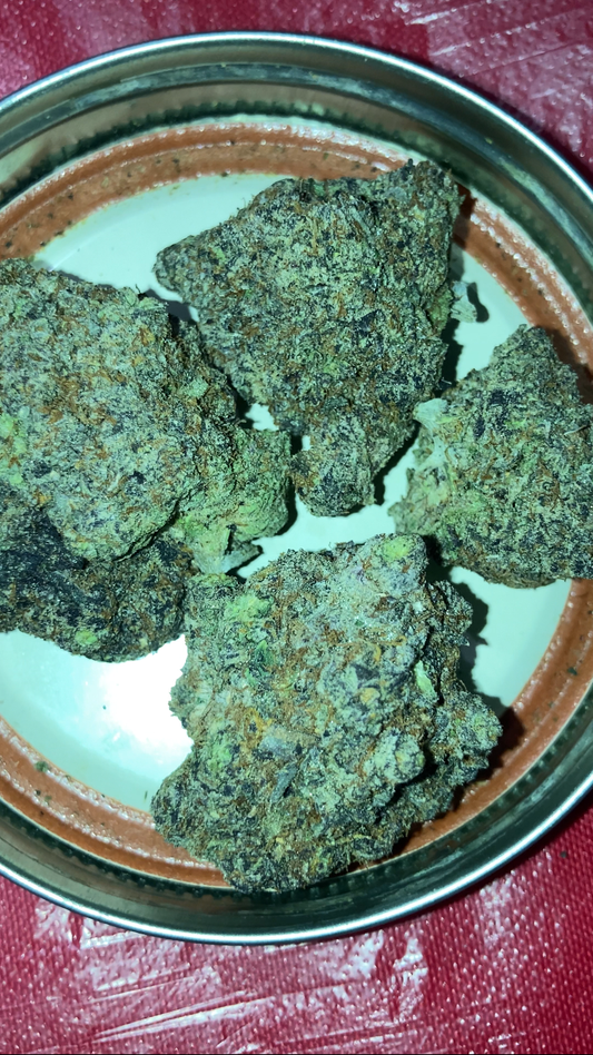 Larry Bird x Gelato