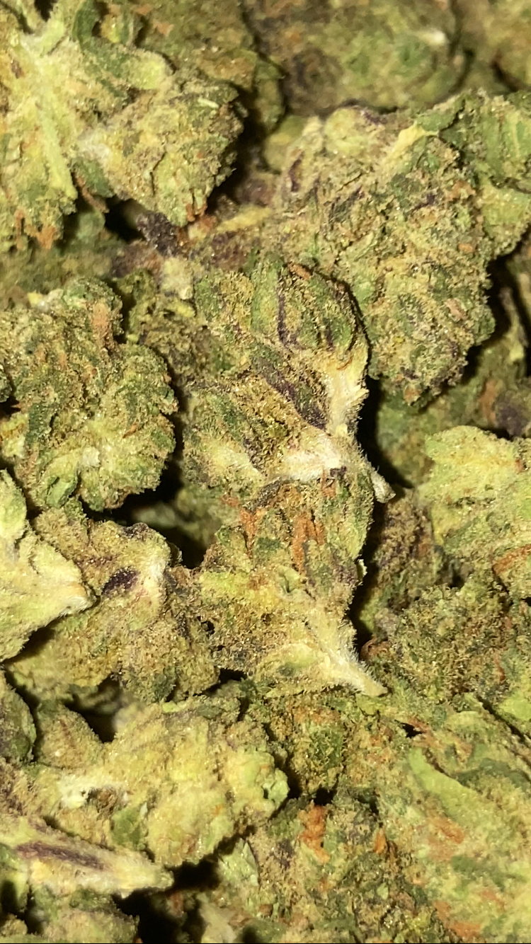 Unicorn Piss